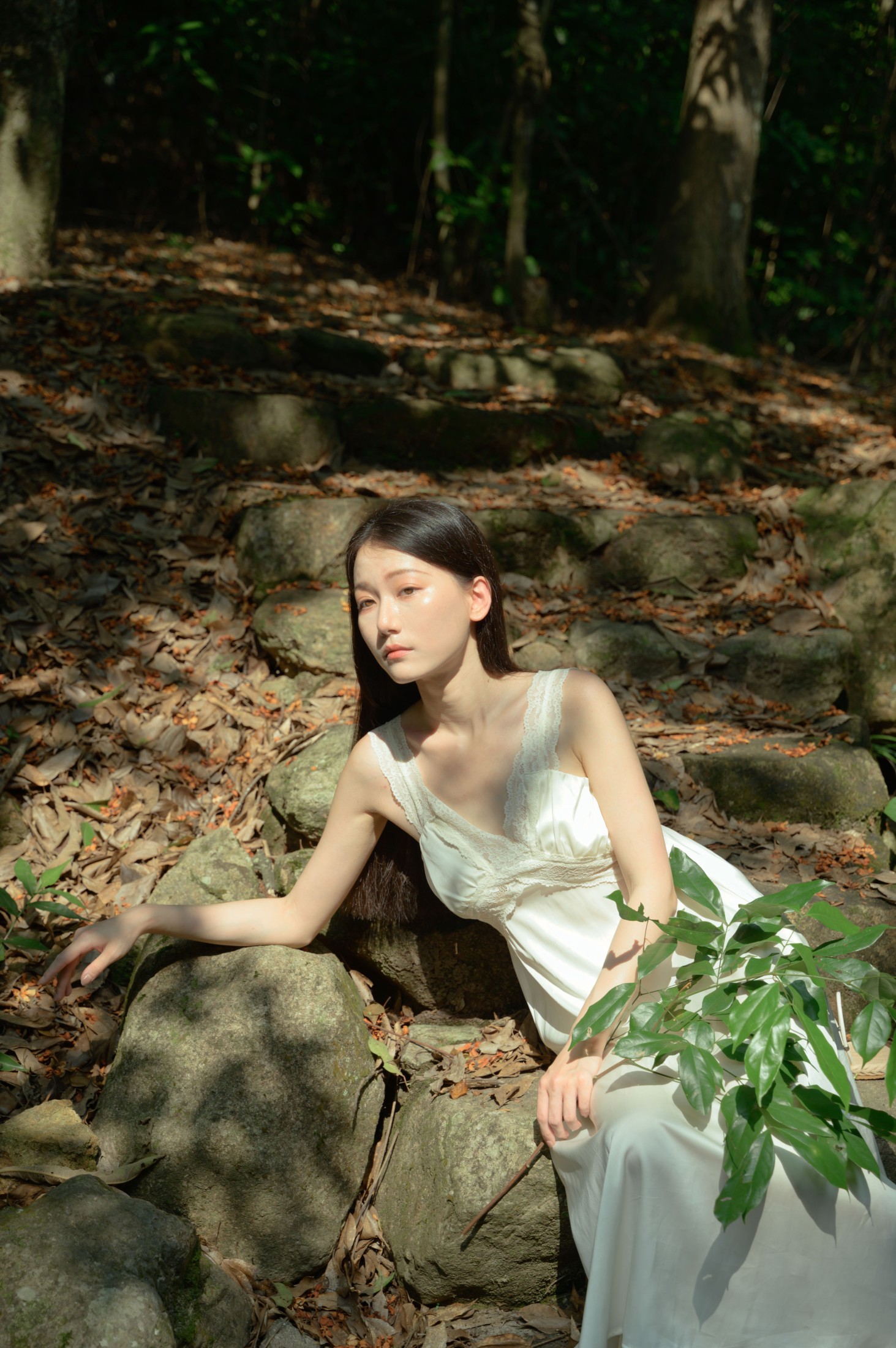 小月 – 《夏天已到悬铃木》[28P]